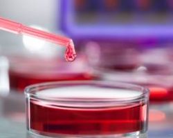 research-4-370x209-1.jpg